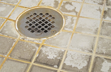 Hard Water Tile Drain
