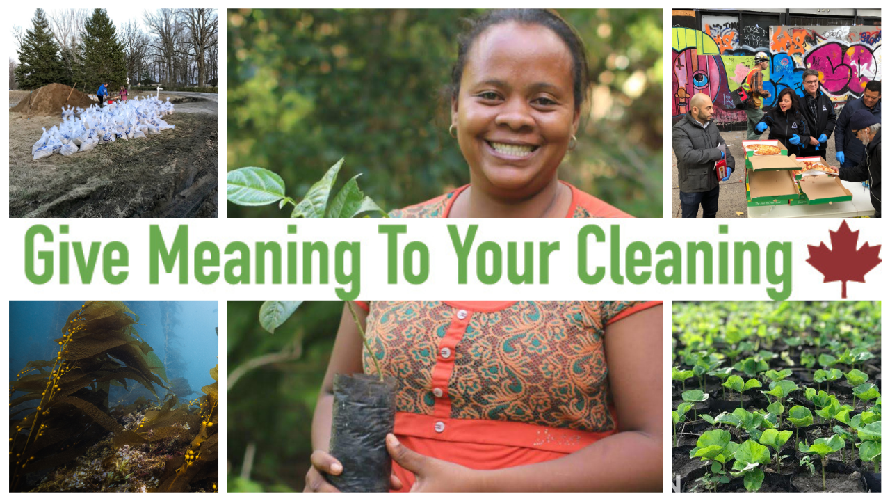 Website Banner GMTYC
