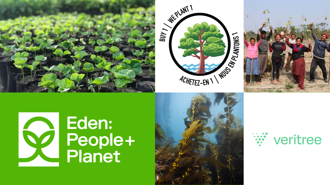 Website Banner B1 WP1
